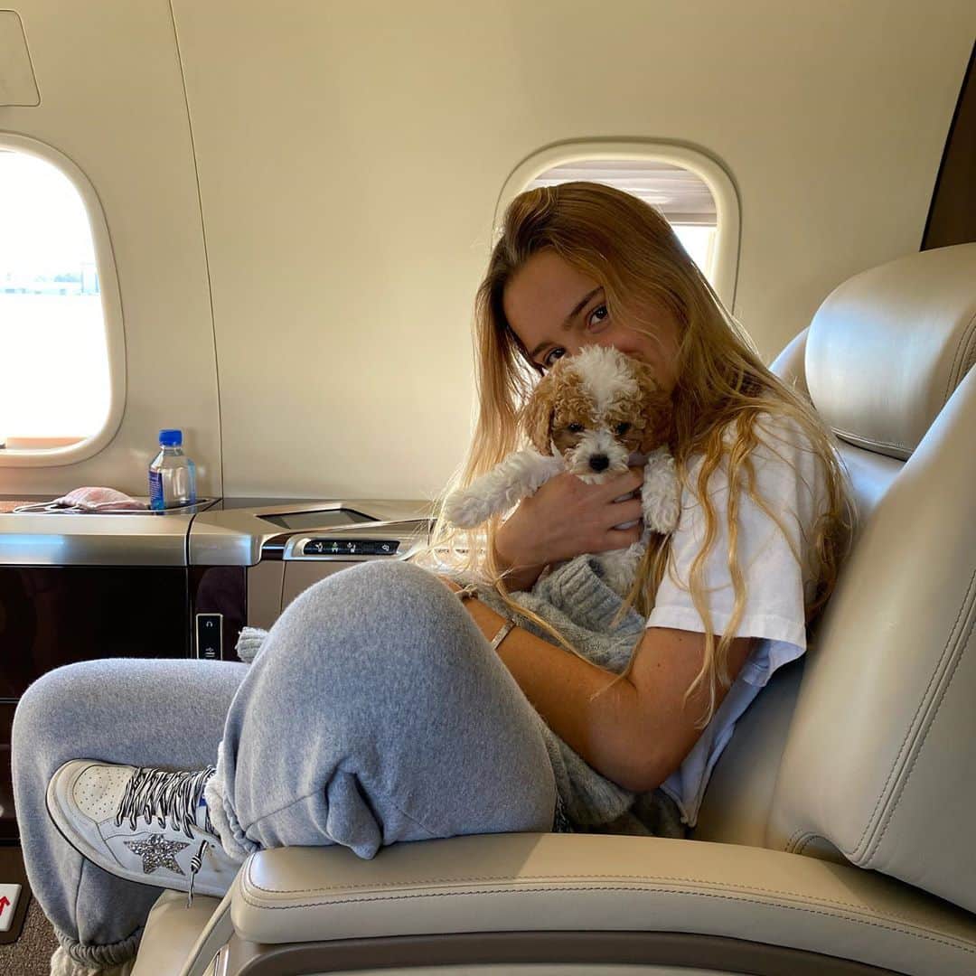 ガブリエル・アンウォーのインスタグラム：「#cavapoo @paisleyverea @shareefmalnik #brookefrenkel」