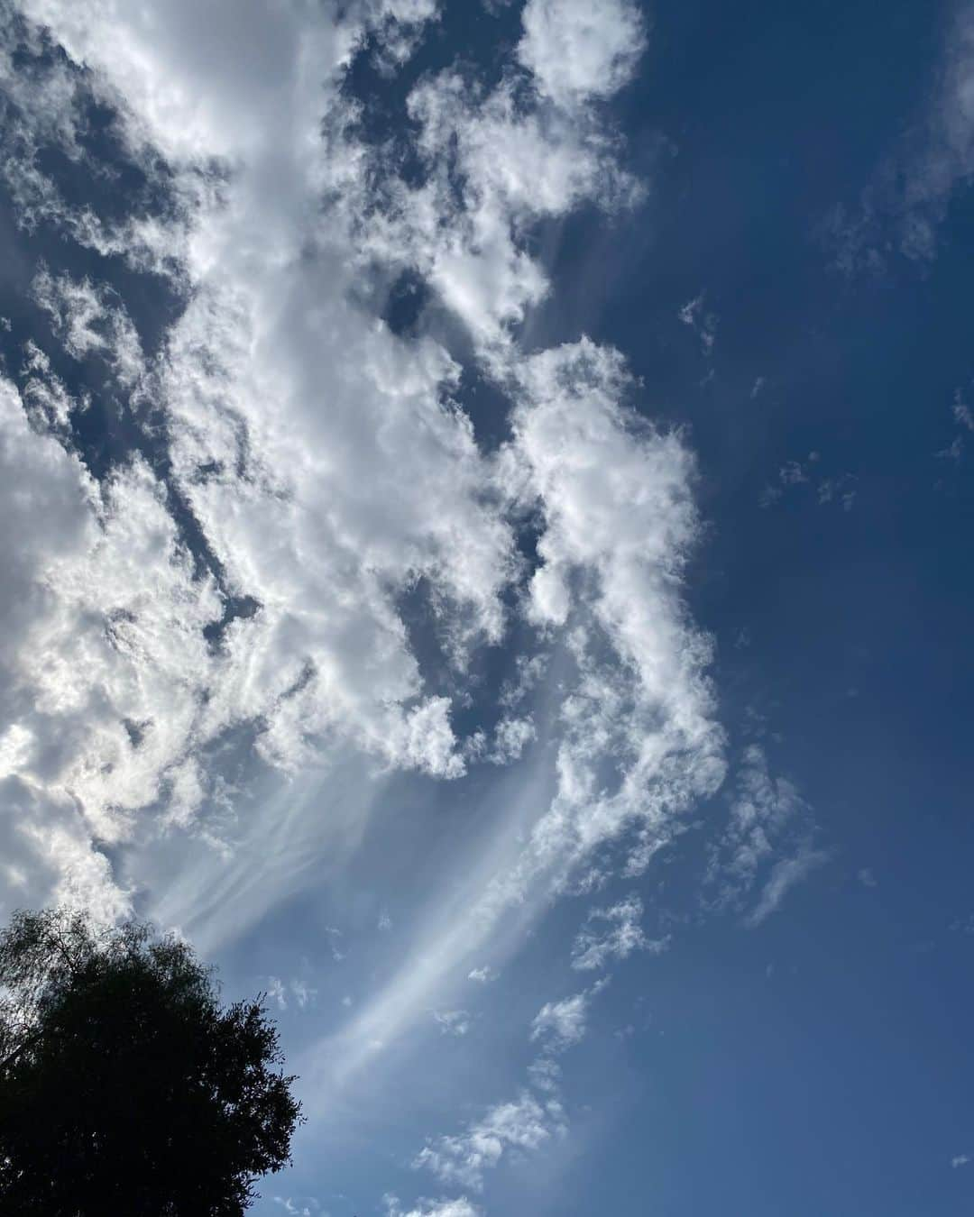 マイケル・ルーカーさんのインスタグラム写真 - (マイケル・ルーカーInstagram)「Wow! Weeeeee! Blue skies, fresh clean air in my area of SoCal......I can go outside again. How strange those words sound coming out of my mouth. That sequence of wording should not even be in our vocabulary」9月19日 6時58分 - michael_rooker