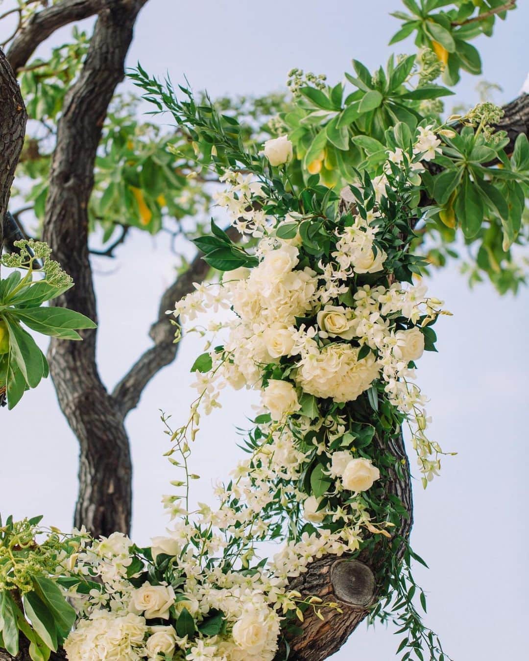 ハワイ挙式のCheersWedding チアーズウェディングのインスタグラム