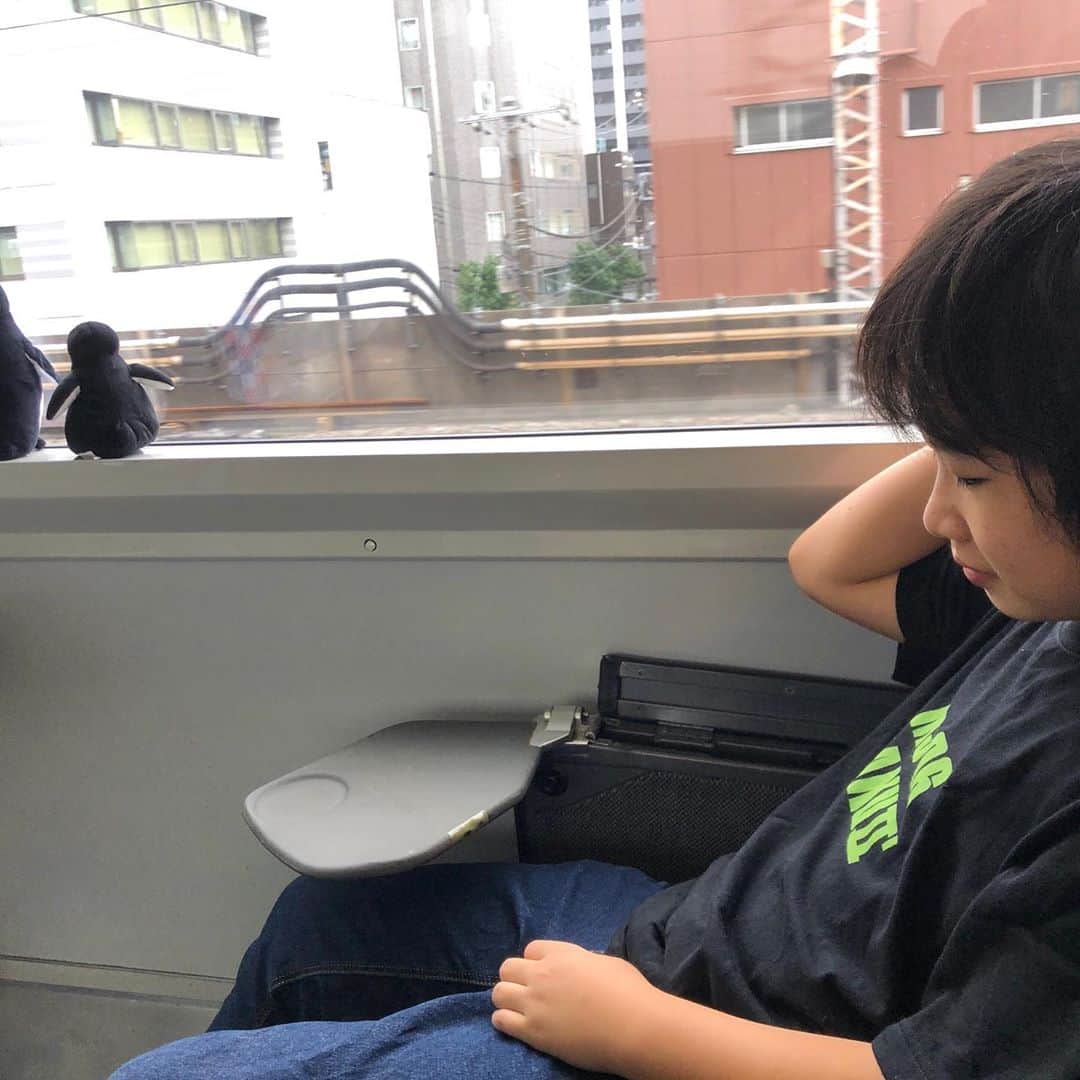 がっちゃんさんのインスタグラム写真 - (がっちゃんInstagram)「特急しおさい初乗車✨ 朝から鉄分補給しています😊  皆さま良い週末をお過ごしください💕  #特急 #鉄分補給 #乗り鉄 #train #japantrain #japantrip #japantravel #trainspotting #trainstagram #小学生 #がっちゃん #がっちゃんねる」9月19日 10時22分 - gacchannel