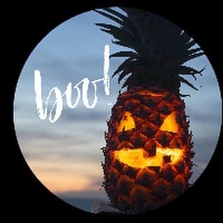 Lanikai Bath and Bodyさんのインスタグラム写真 - (Lanikai Bath and BodyInstagram)「Online now. Supplies are limited. Happy Halloween. Hope by then we’re able to trick or treat! What do you think??? #kailuahalloween #lanikaibathandbody」9月19日 10時42分 - lanikaibathandbody