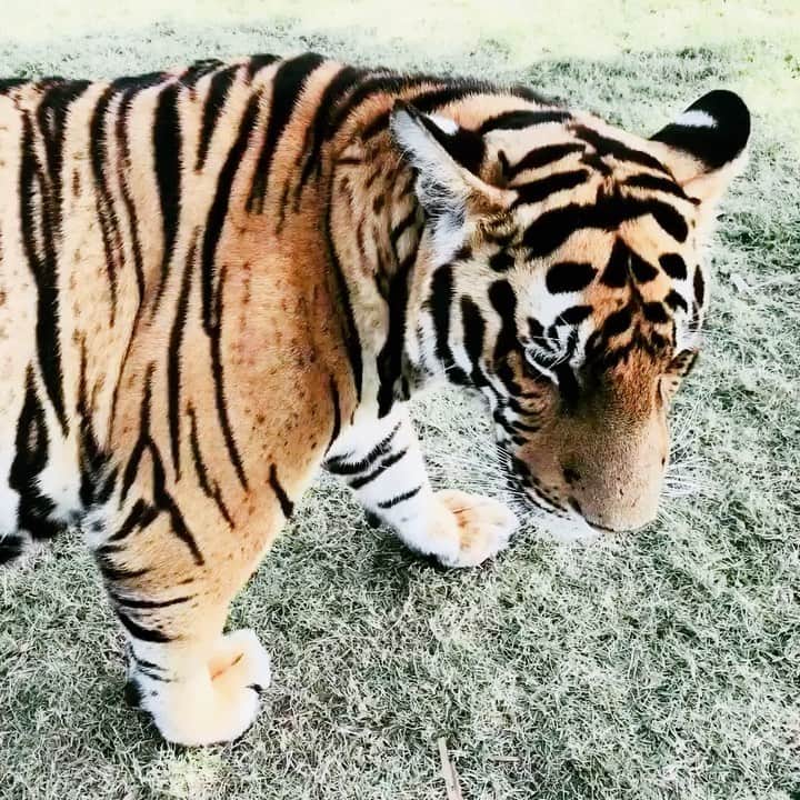 小林ひろ美のインスタグラム