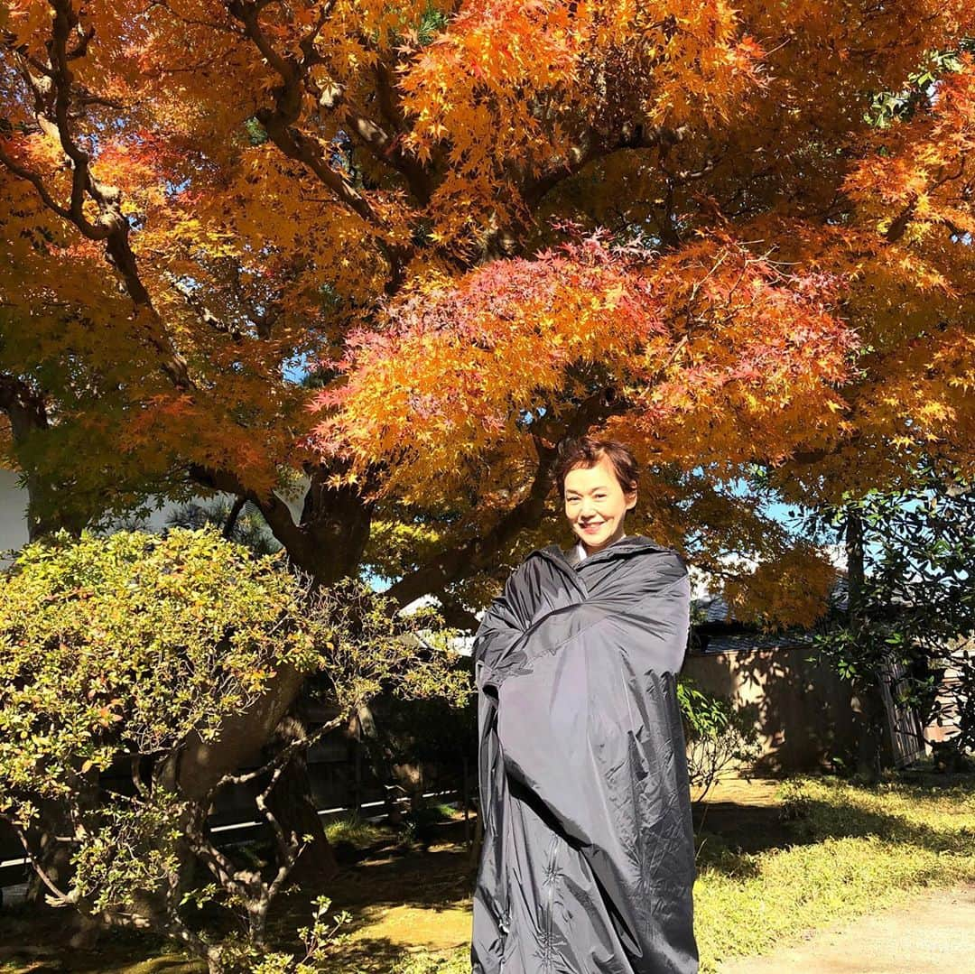 大竹しのぶさんのインスタグラム写真 - (大竹しのぶInstagram)「昨年の12月に撮影した、香取慎吾さん✖️三谷幸喜さんの配信ドラマ、ちょっとだけ出演してます。な、な、なんなんだあ、この髪型😱 本当に三谷さんは面白いです😀👍 #誰かが、見ている #amazon prime #香取慎吾　さん #三谷幸喜　さん #小日向さんが、本当におかしかったの、もっと出たかったなあ。」9月19日 11時01分 - shinobu717_official