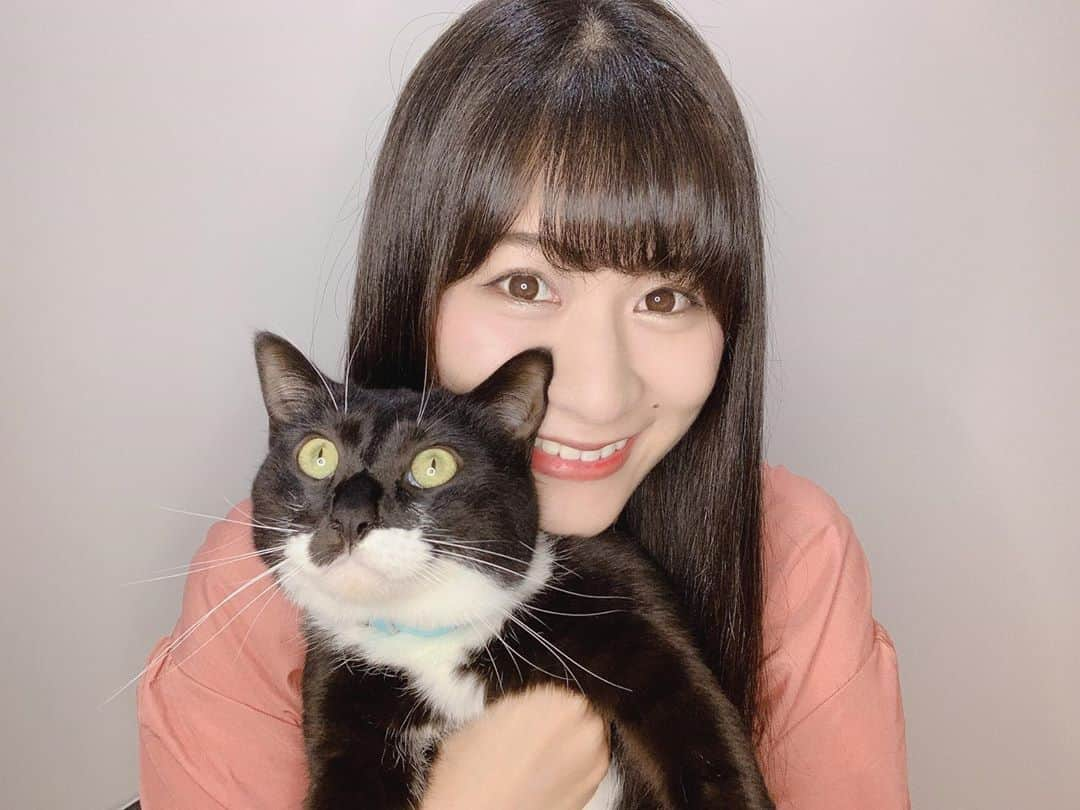 猪狩ともかさんのインスタグラム写真 - (猪狩ともかInstagram)「🐱♡ . . 自撮りしてたら膝に乗ってきたから つかまえて2ショット✨(笑) . . . #てんとあま #てんの方 #どこ見てるの #猫自慢 #猫のいる暮らし  #仮面女子 #猪狩ともか」9月19日 11時10分 - igari_tomoka