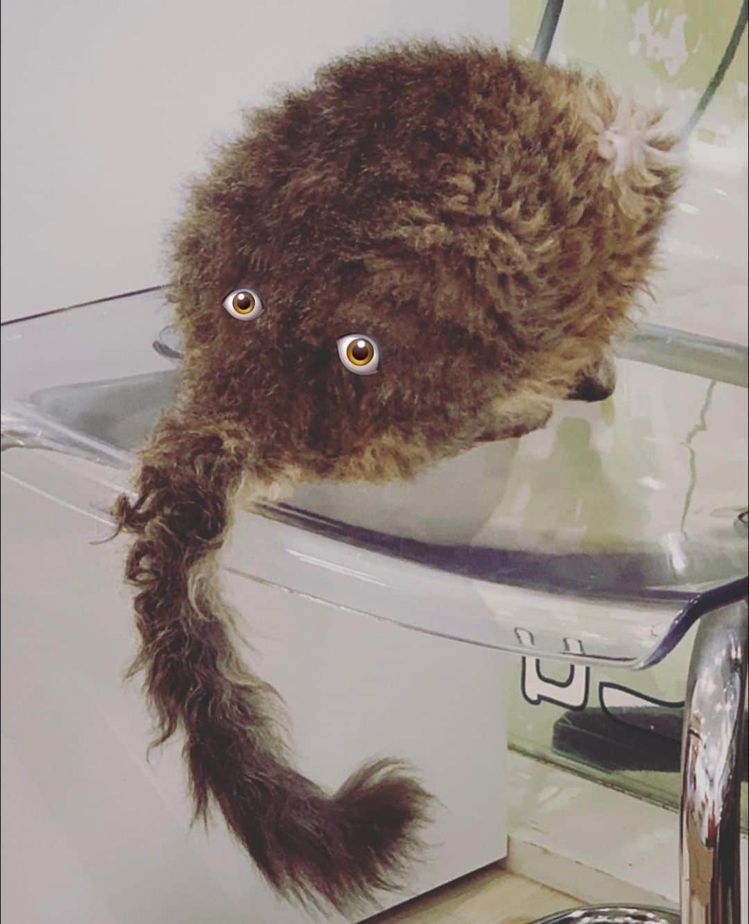 たむらぱんのインスタグラム：「🙂」