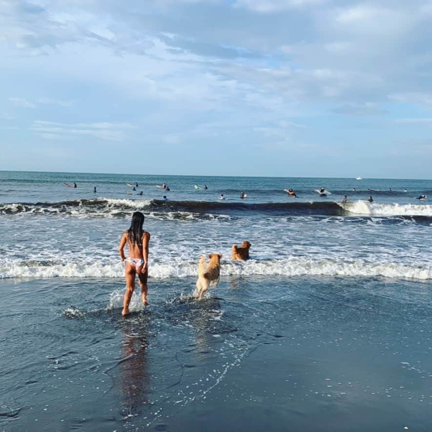 大村 奈央さんのインスタグラム写真 - (大村 奈央Instagram)「朝のひと泳ぎ🐶🐶🏊‍♀️🏖」9月19日 12時29分 - naoomura