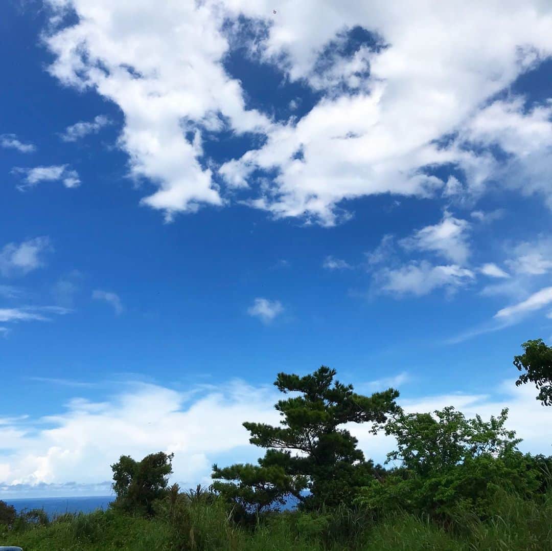 MOOMINのインスタグラム：「今日も月桃パトロール！ ちゃんと許可をいただいて収穫しております♪  #月桃ライフ #月桃の実探し #沖縄 #ご縁に感謝 #許可を得て収穫」