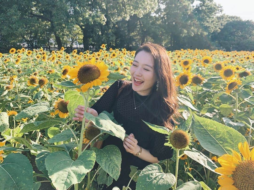 豊田百佳のインスタグラム：「【ちょっと前の、、】﻿ ひまわり畑に行った時の写真です🌻ずっと行くのが夢でやっと今年叶いました☺️✨﻿ ﻿ 噂通り全部のひまわりが同じ方向を向いて、シャンと上を向いていて。そんな人間でありたいなぁと、しみじみりました。🌞💓﻿ ﻿ #ccガールズ #ccガールズ3 ﻿ #豊田百佳﻿」