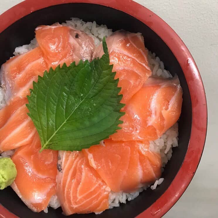 知床漁場 リノアス八尾店さんのインスタグラム写真 - (知床漁場 リノアス八尾店Instagram)「こちらはサーモン丼です🐟✨  是非新鮮なお魚をお召し上がり下さい💖  #知床漁場八尾店#リノアス八尾#近鉄八尾駅#八尾グルメ#北海道料理#鮮魚#ランチ#コース#海鮮丼 #サーモン丼」9月19日 13時30分 - shiretoko_yao