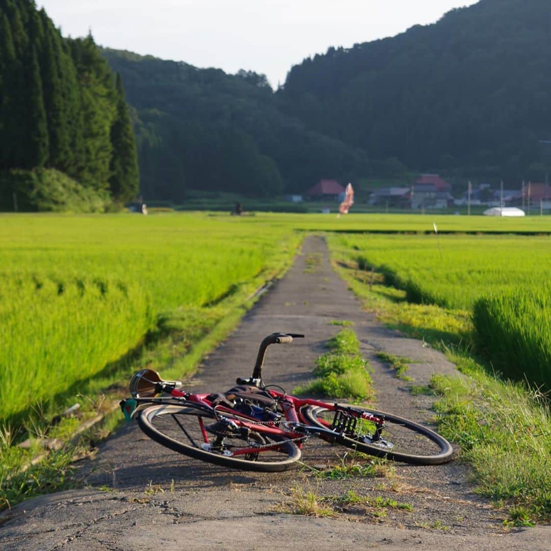 山下晃和さんのインスタグラム写真 - (山下晃和Instagram)「【BICYCLE】夏の終わりのヒグラシ  北信の美しき田園風景は、  いかにも日本らしい  #信越ペダル #自転車キャンプツーリング  #旅サイクリスト #グラベルロード #グラベル #camp #camping #gravelroad #bikepacking #Nagano #Madarao #自転車 #自転車キャンプ #camptouring #Japan #mountain #touring #ツーリング #自転車ツーリング #旅 #自転車旅 #目的のない旅展」9月19日 13時39分 - travel_akikazoo