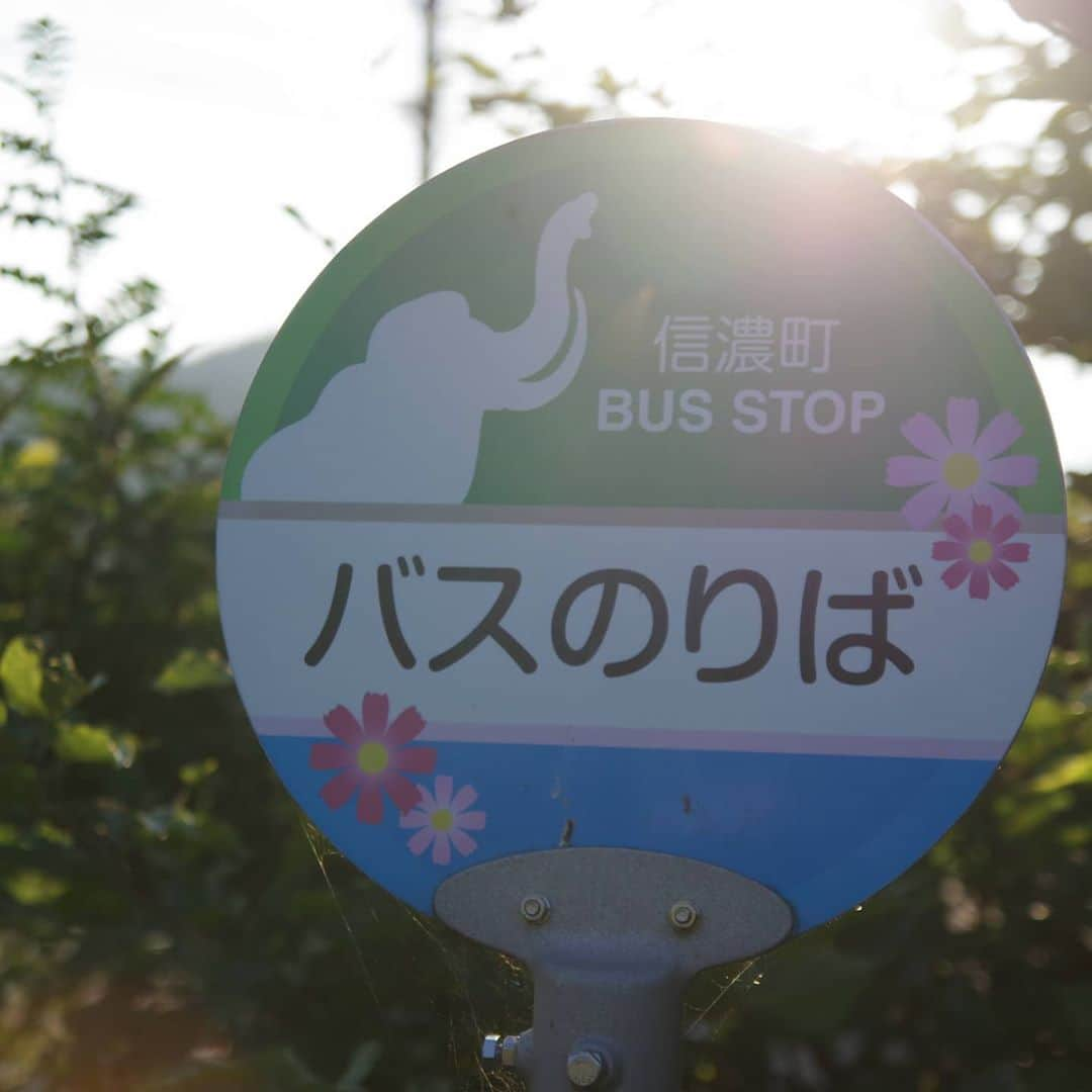 山下晃和さんのインスタグラム写真 - (山下晃和Instagram)「【BICYCLE】夏の終わりのヒグラシ  北信の美しき田園風景は、  いかにも日本らしい  #信越ペダル #自転車キャンプツーリング  #旅サイクリスト #グラベルロード #グラベル #camp #camping #gravelroad #bikepacking #Nagano #Madarao #自転車 #自転車キャンプ #camptouring #Japan #mountain #touring #ツーリング #自転車ツーリング #旅 #自転車旅 #目的のない旅展」9月19日 13時39分 - travel_akikazoo