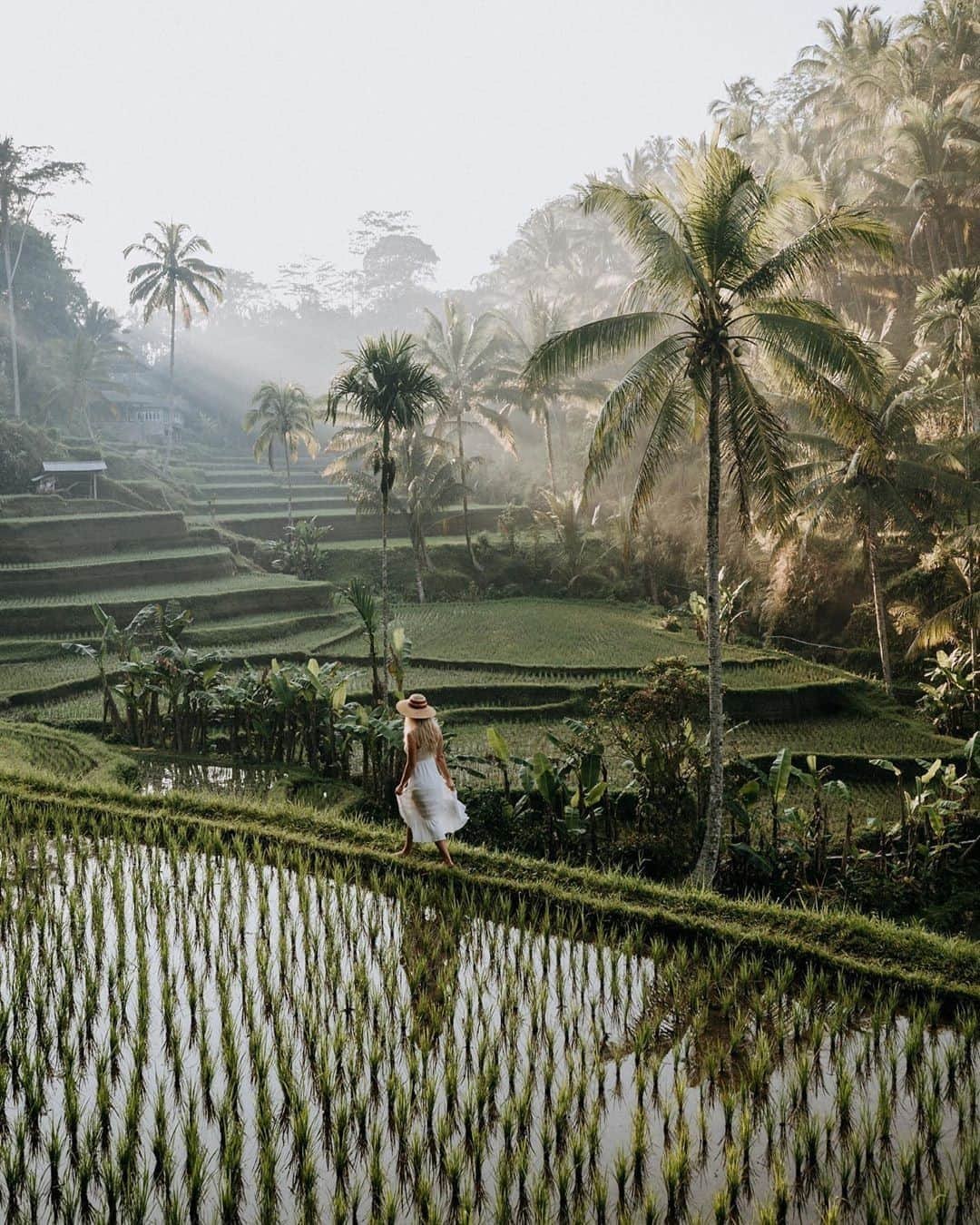 Kapten & Sonさんのインスタグラム写真 - (Kapten & SonInstagram)「'Find me where the wild things are.' 🌴 @thesunsetcolada exploring natures beauty in bali. 💚 #bekapten #kaptenandson⁠ .⁠ .⁠ .⁠ #nature #explore #wild #wildlife #travel #traveling #bali #inspiration #beautifulplaces」9月19日 14時30分 - kaptenandson