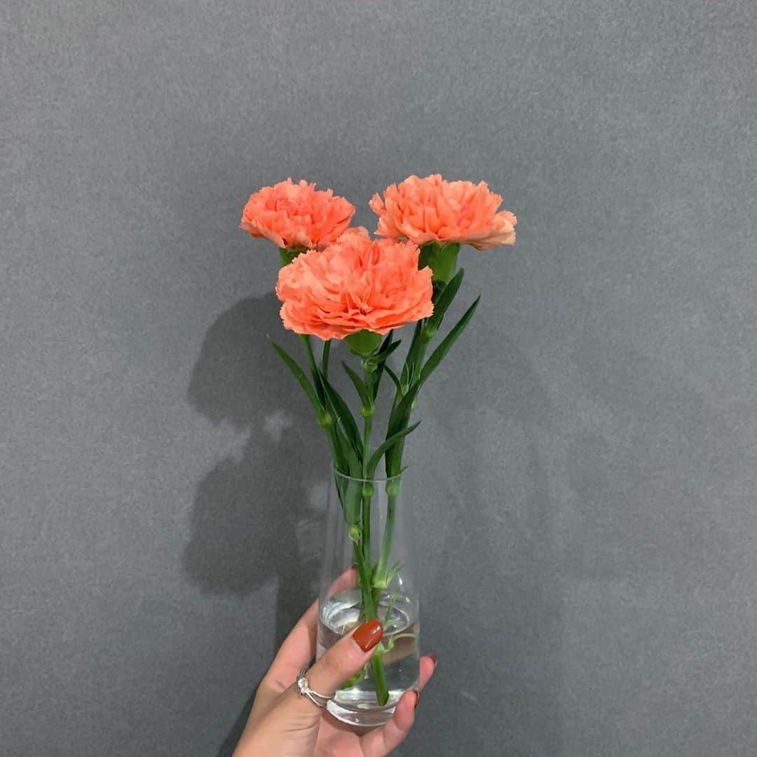 岡本莉音さんのインスタグラム写真 - (岡本莉音Instagram)「ライオンキングっていう名前のカーネーション🧡﻿ 私にとって思い出のお花！﻿ ﻿ オレンジ色のカーネーションの花言葉は『純粋な愛』だって！　　　　　　　 ひゃ﻿」9月19日 15時26分 - rion051228