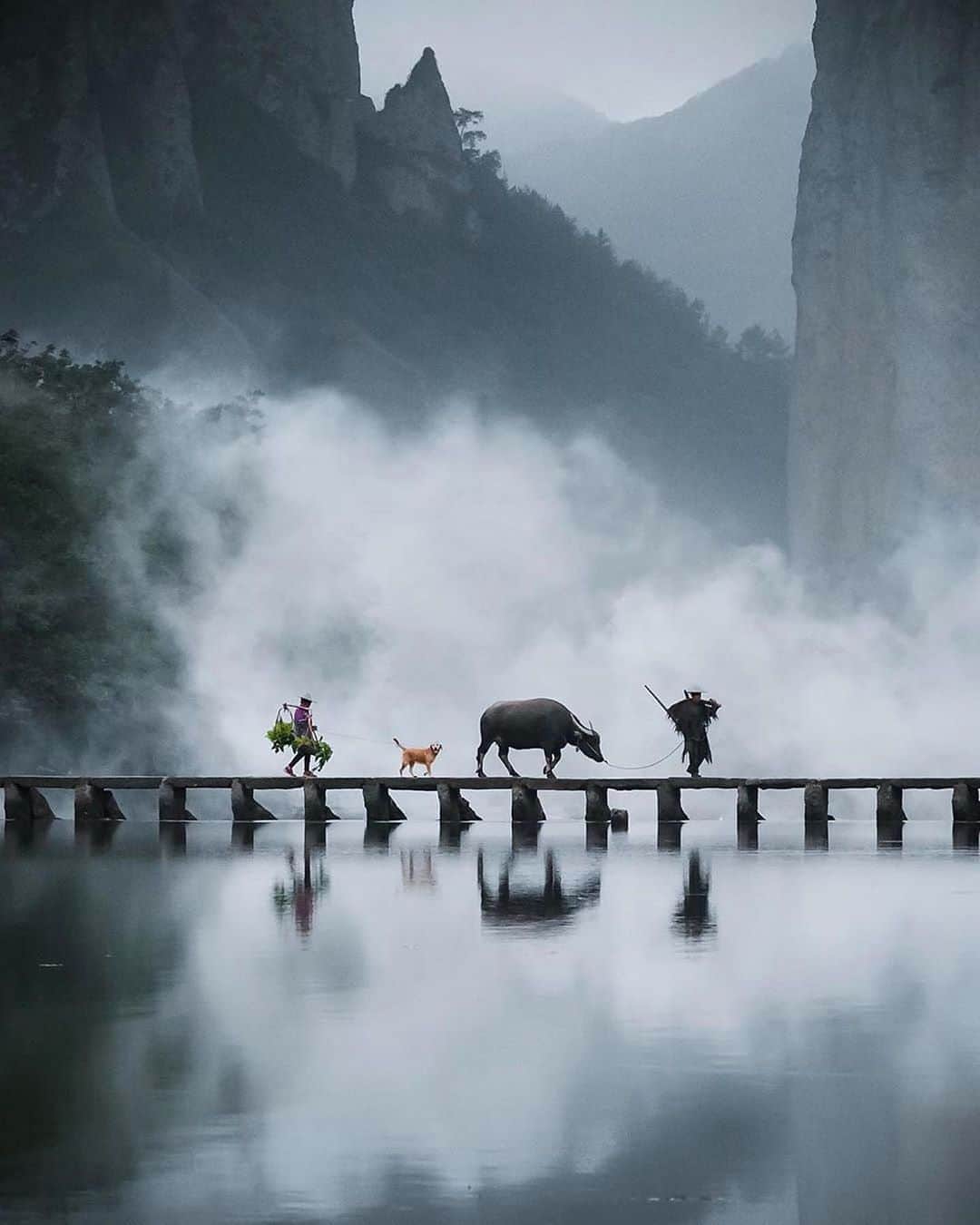 Canon Photographyさんのインスタグラム写真 - (Canon PhotographyInstagram)「Some incredible Chinese landscapes!  Photography // @jordhammond Curated by @steffeneisenacher  #china #visitchina #reflection #zhangjiajie #tibet」9月19日 15時53分 - cpcollectives