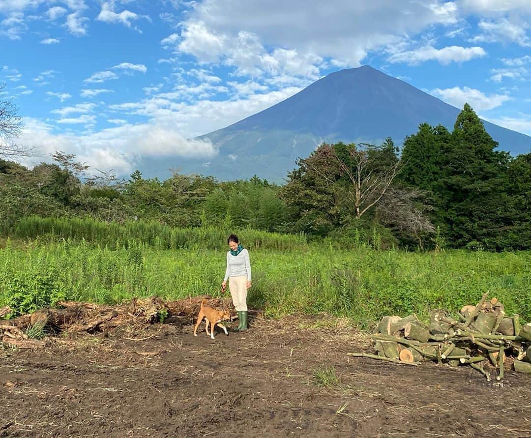 岡田美里さんのインスタグラム写真 - (岡田美里Instagram)「獣医さんの前で✨ 7ヶ月になりました。 #クック」9月19日 16時03分 - millieokada