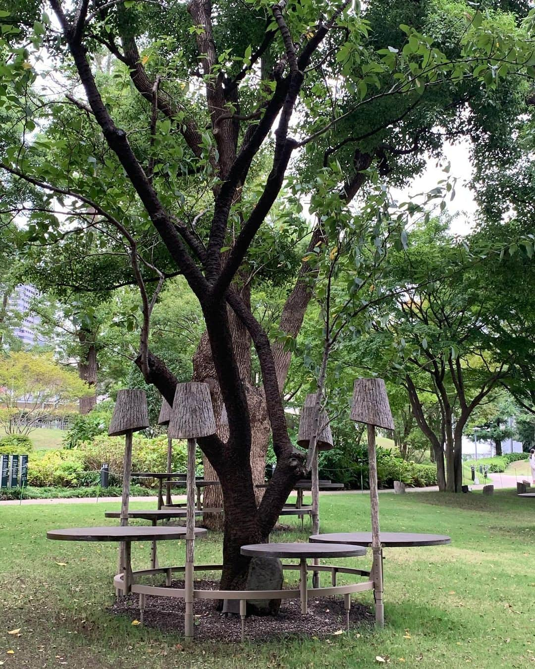 池田愛さんのインスタグラム写真 - (池田愛Instagram)「🚶‍♀️🌳」9月19日 16時12分 - ai_ik3