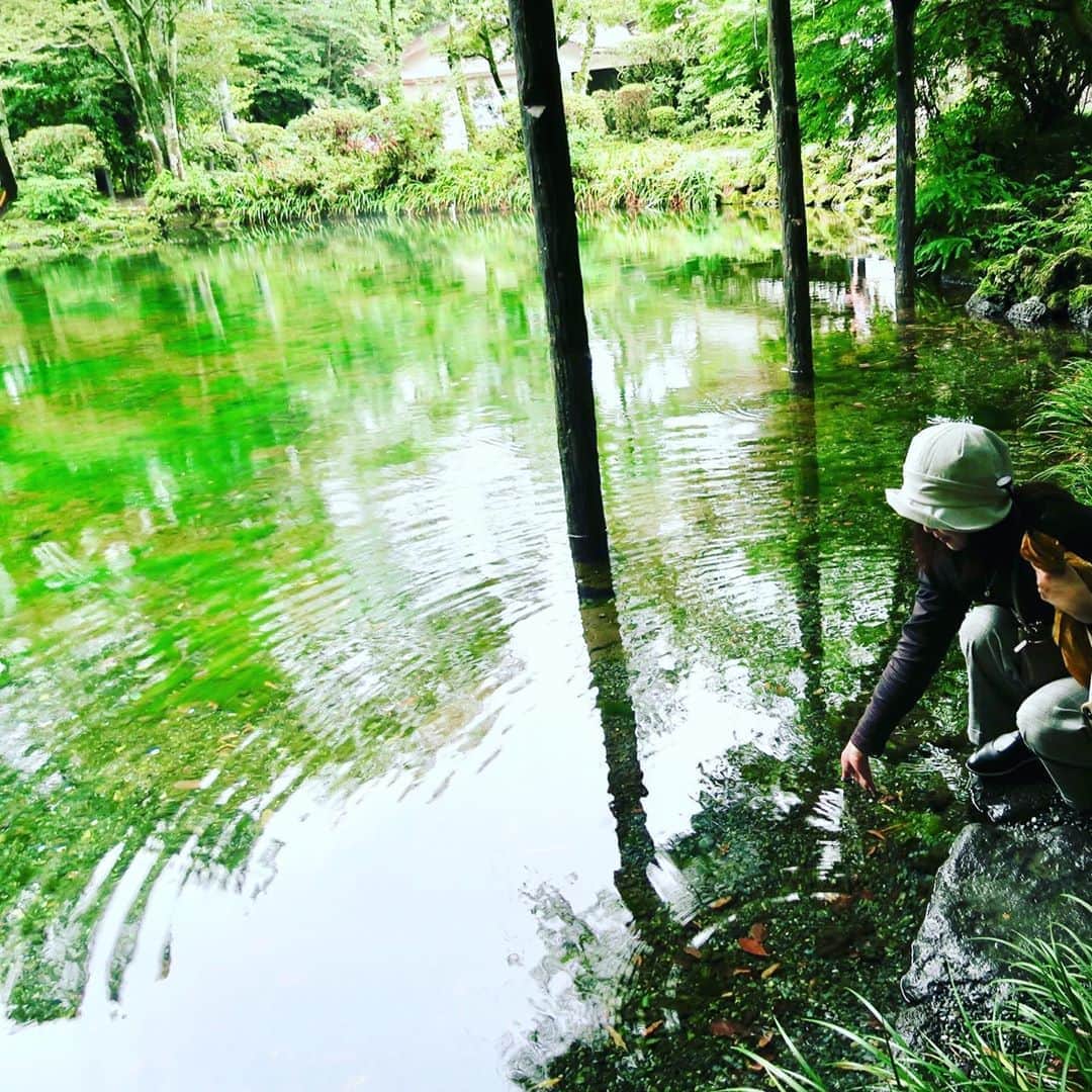 菊池桃子さんのインスタグラム写真 - (菊池桃子Instagram)「湧玉池（わくたまいけ）は富士山の雪が濾過された富士山の伏流水。 心が澄み切ると言われています。疲れも溶かす。 写真だけでも効果があるそう。 #去年の写真  #パワースポット #富士山本宮浅間大社 #パワーをお裾分けじゃ^_^」9月19日 16時16分 - momoko_kikuchi_official