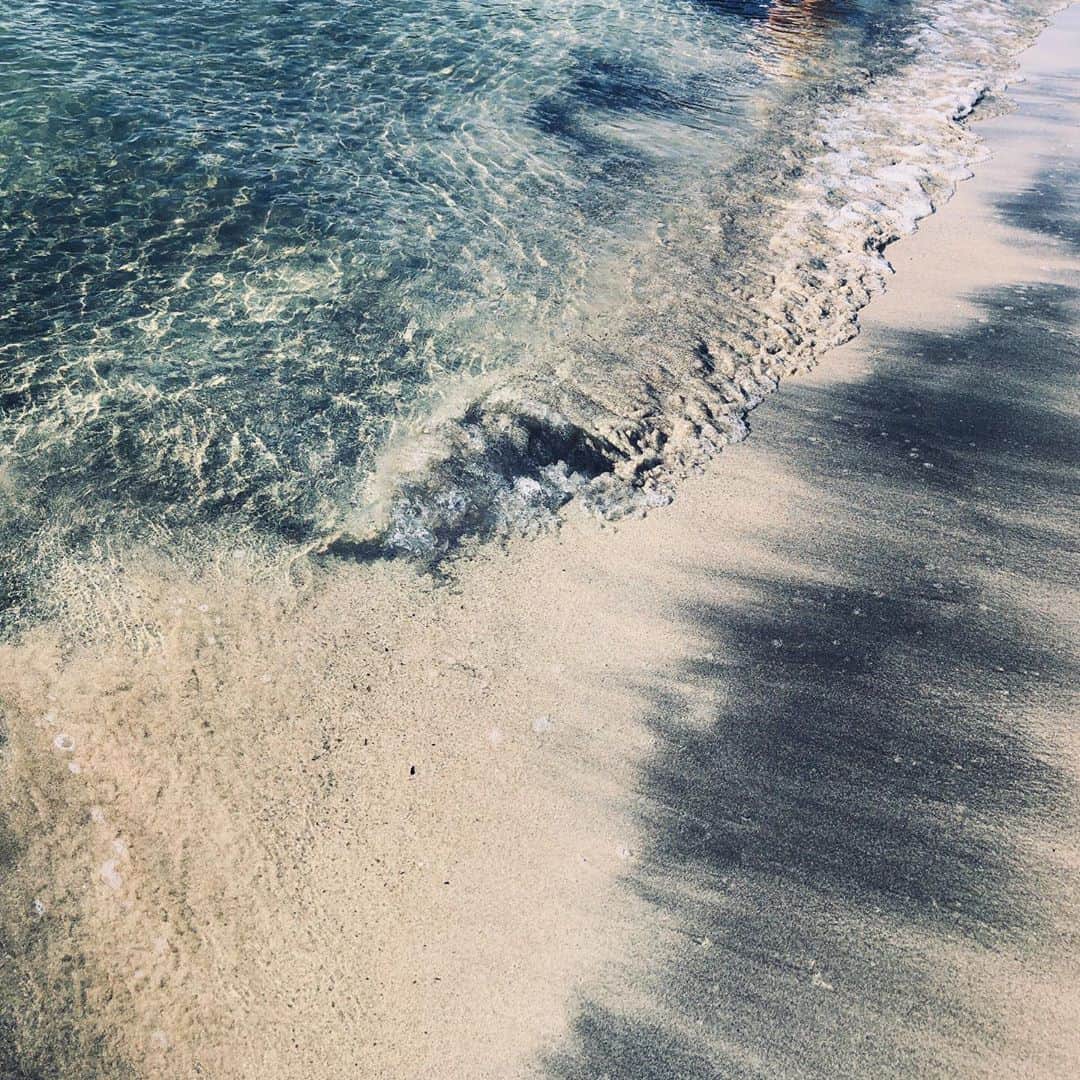 Takemi Yoshiokaのインスタグラム：「逗子ドライブに連れて行ってもらった  2月ぶりのプライベート外遊び  海が広い 自然の匂い 日差しが強い 目と鼻と皮膚がビックリしてた  逗子の海岸は所々、 白い砂と黒い砂がグラデの様に混ざってた。 わりと透明度あるのね。  #逗子 #ドライブ」