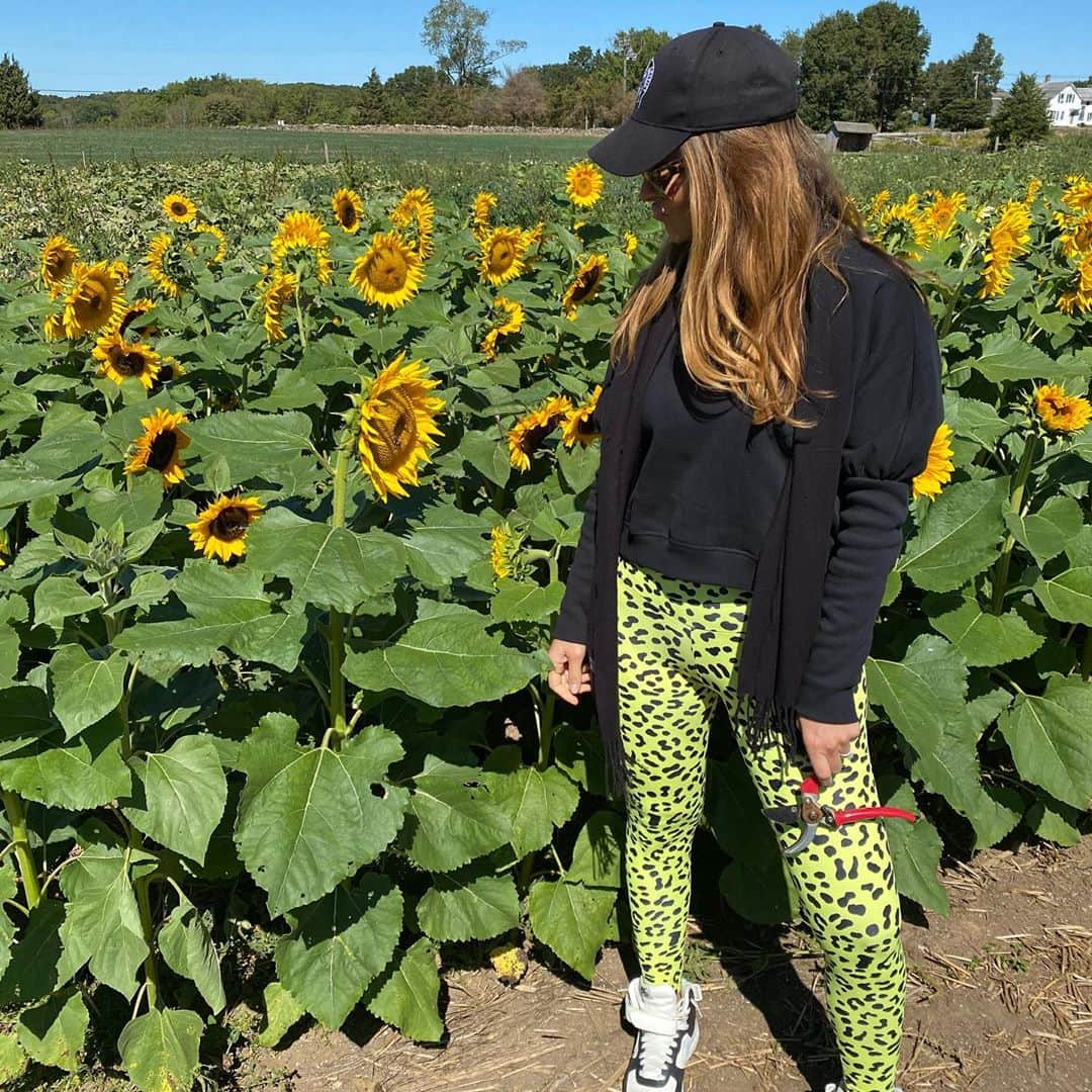 マリア・メノウノスさんのインスタグラム写真 - (マリア・メノウノスInstagram)「First time Sunflower picking 🌻」9月20日 2時35分 - mariamenounos