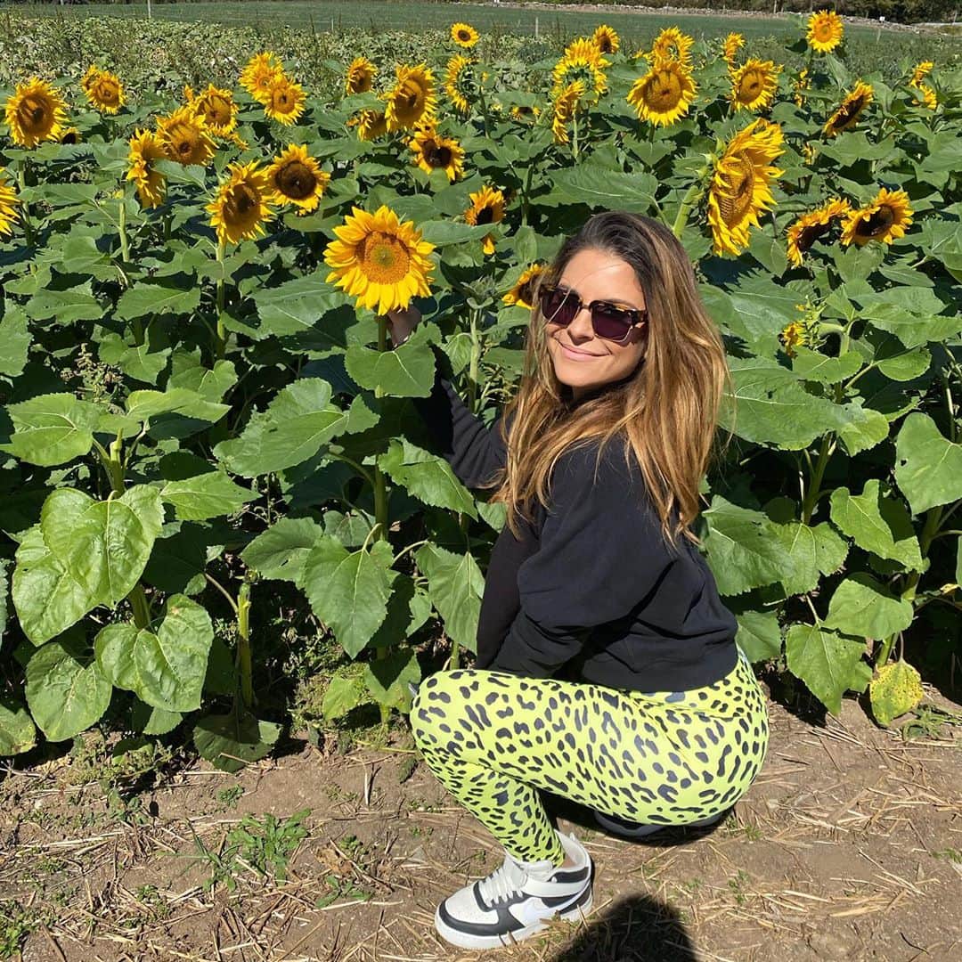 マリア・メノウノスさんのインスタグラム写真 - (マリア・メノウノスInstagram)「First time Sunflower picking 🌻」9月20日 2時35分 - mariamenounos