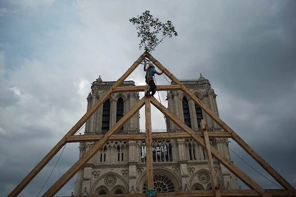 National Geographic Creativeさんのインスタグラム写真 - (National Geographic CreativeInstagram)「Photo by Tomas van Houtryve @tomasvh  A volunteer from the group Charpentiers Sans Frontières (Carpenters Without Borders) places a symbolic oak branch at the top of a wooden roof frame in front of the cathedral of Notre-Dame de Paris. The beams and frame were hewed and assembled by hand, using only traditional woodworking skills and based on the original design of the cathedral. The frame was raised only for demonstrative purposes—there is still much repair work to be done on Notre-Dame before workers will eventually get to the roof. A massive fire ravaged the cathedral in April 2019. Follow @tomasvh for more stories and images. #NotreDamedeParis #NotreDame #notredamecathedral」9月20日 2時38分 - natgeointhefield