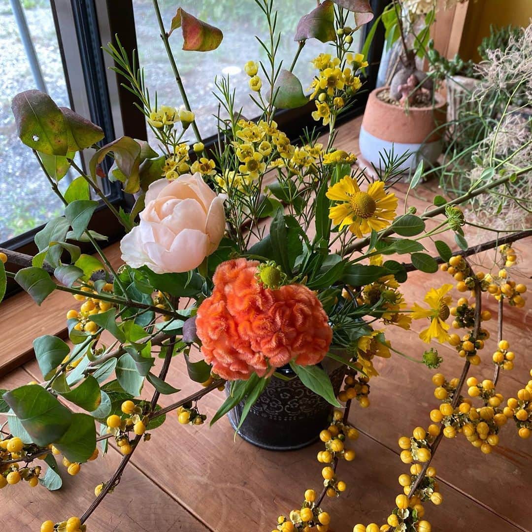 武藤乃子さんのインスタグラム写真 - (武藤乃子Instagram)「💐 先日のレッスンは、ツルを使ったアレンジでした。  可愛い🥀 しかし…綺麗なバラの花に、棘を刺されました。笑  #花のある暮らし  #花のある生活  #フラワーアレンジメント  #綺麗な花には棘がある」9月19日 18時18分 - muto_noriko.11