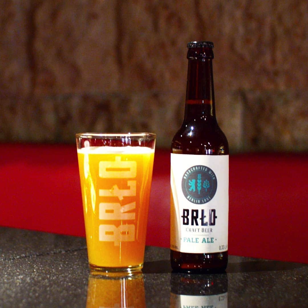 シュタインハウス新宿のグルメインスタ