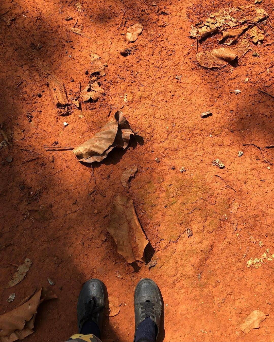 Amata Chittaseneeさんのインスタグラム写真 - (Amata ChittaseneeInstagram)「Woah this soil’s colour is too crazy bruh!!! บ้าไปแล้ว สีดินสวยมาก 😍 #nofilter #studdoi #สตั๊ดดอย」9月19日 18時59分 - pearypie