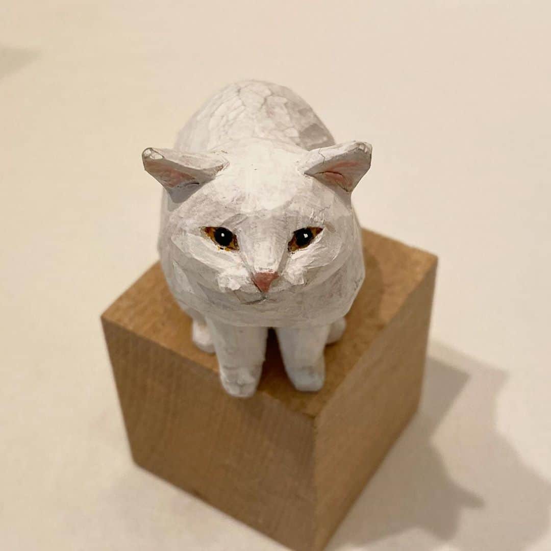 yamanekoのインスタグラム：「ねこの引出し2日目終了しました。 大変なご時世の中、連日沢山のお客様！ありがとうございます！ この子は昨日1番の方が真っ先にキューンと来た白ネコちゃん！ 22日まで開催中です😸  #猫の引き出し #ねこ #ねこ部 #白猫 #木彫りねこ #彫刻#猫彫刻 #木彫りねこ #猫が待っているので帰ります #バンナイリョウジ #cat #catstagram #catsofinstagram #sculpture #catsculpture #woodencat #woodworking #woodsculpture #woodworking #woodcarving #ryojibannai」