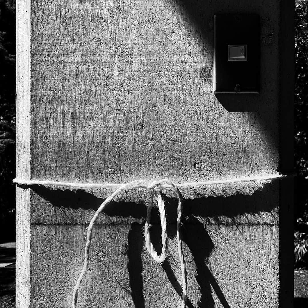 naotakeのインスタグラム：「柱 - A pillar / iPhone XR & Snapseed, 20200920 . . 神殿、ではありません。 . . #spicollective #royalsnappingartists #infamous_family #rsa_main #infinity_photo_cult #2_fineart #jp_gallery_member #jp_gallery_bnw #trb_bnw #wp_bnw  #bnw_life #bnwlife_member #bnw_life_shots #bnw_captures #world_bnw #top_bnw #team_jp_ #team_jp_モノクロ #ig_energy_bw #ig_nihon #streetphotographybnw #igersjp #blackandwhite #bnw #bnwphoto #monochrome #bw #bnwphotography #ShotOniPhone #shotoniphoneXR」