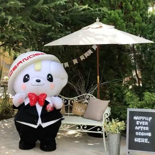 さのまるのインスタグラム