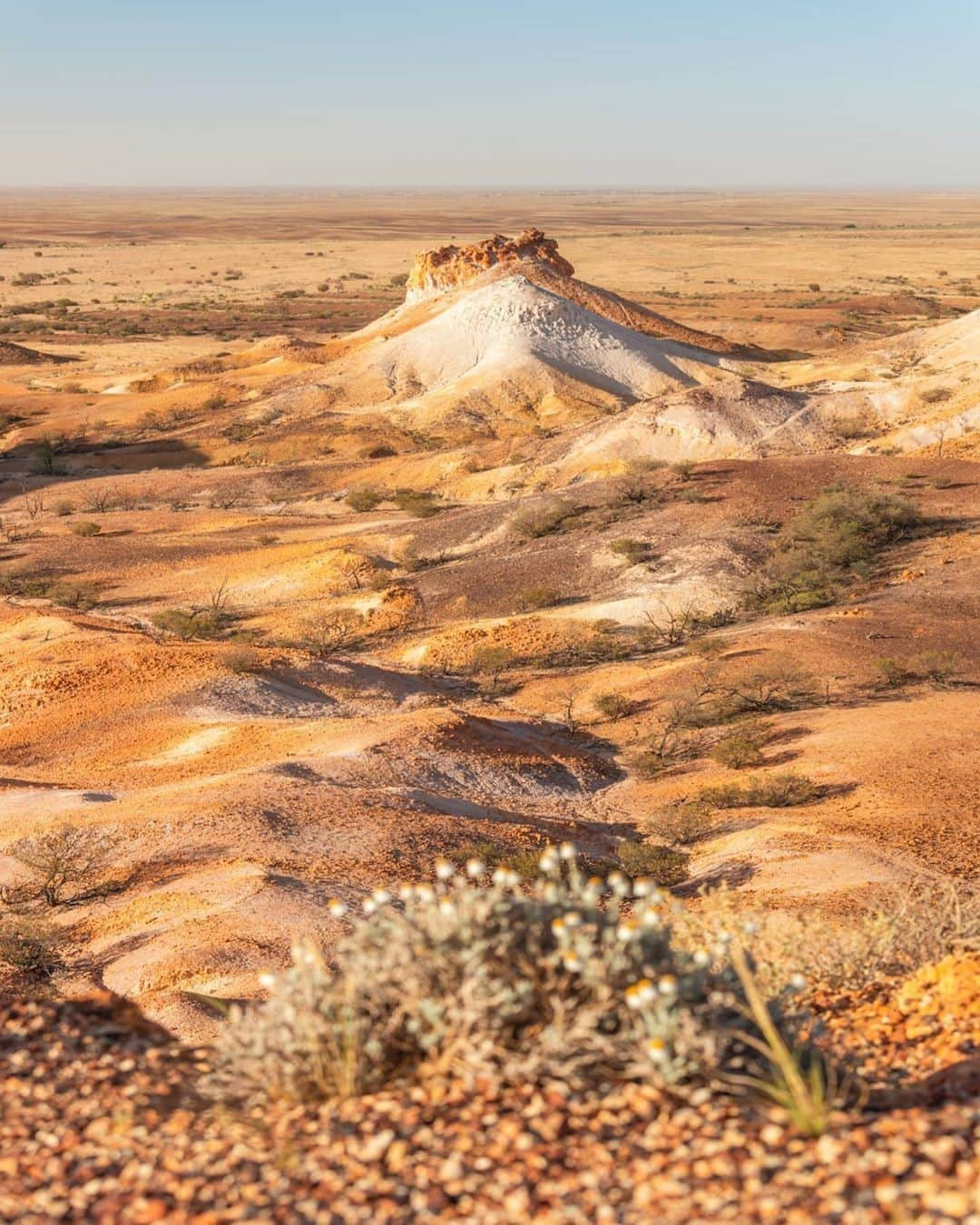 Australiaさんのインスタグラム写真 - (AustraliaInstagram)「When outback @southaustralia is so picture-perfect it could be mistaken for a painting 😎 @ally.and.matt captured this stunning scene and while we can indeed confirm that you’re not standing in an art gallery, the beautiful desert hues of #TheBreakaways would certainly fit right in there! This spot is located in the Kanku-Breakaways Conservation Park, where you’ll find 15,000 hectares of this incredible arid scenery and a variety of wildlife. TIP: Nearby #CooberPedy is a must-see; with underground houses, hotels and shops, this unique town has been the backdrop to many iconic Aussie movies. #seeaustralia #seesouthaustralia #outback #adventure」9月19日 20時00分 - australia