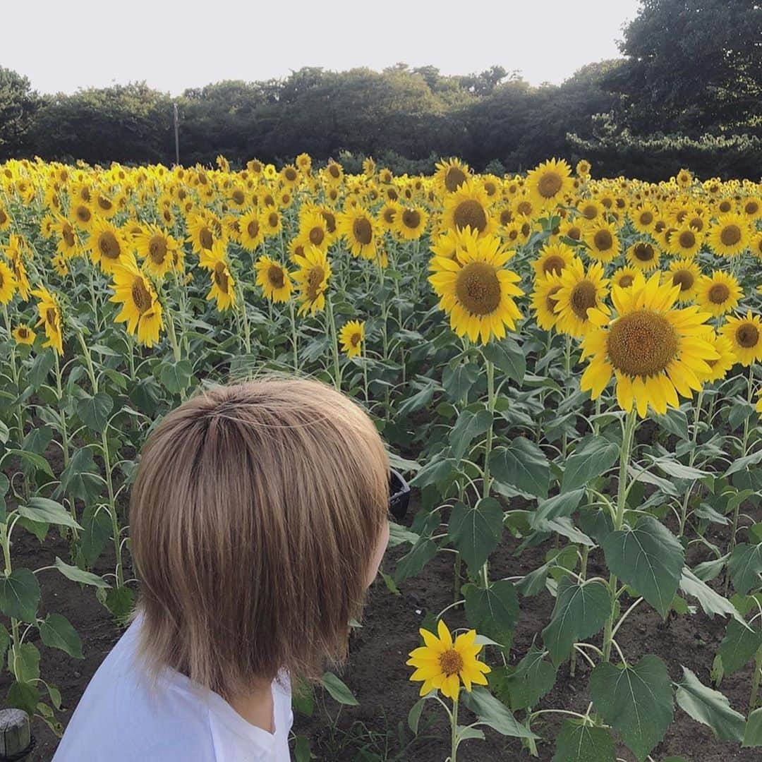 篠崎ゆうきのインスタグラム