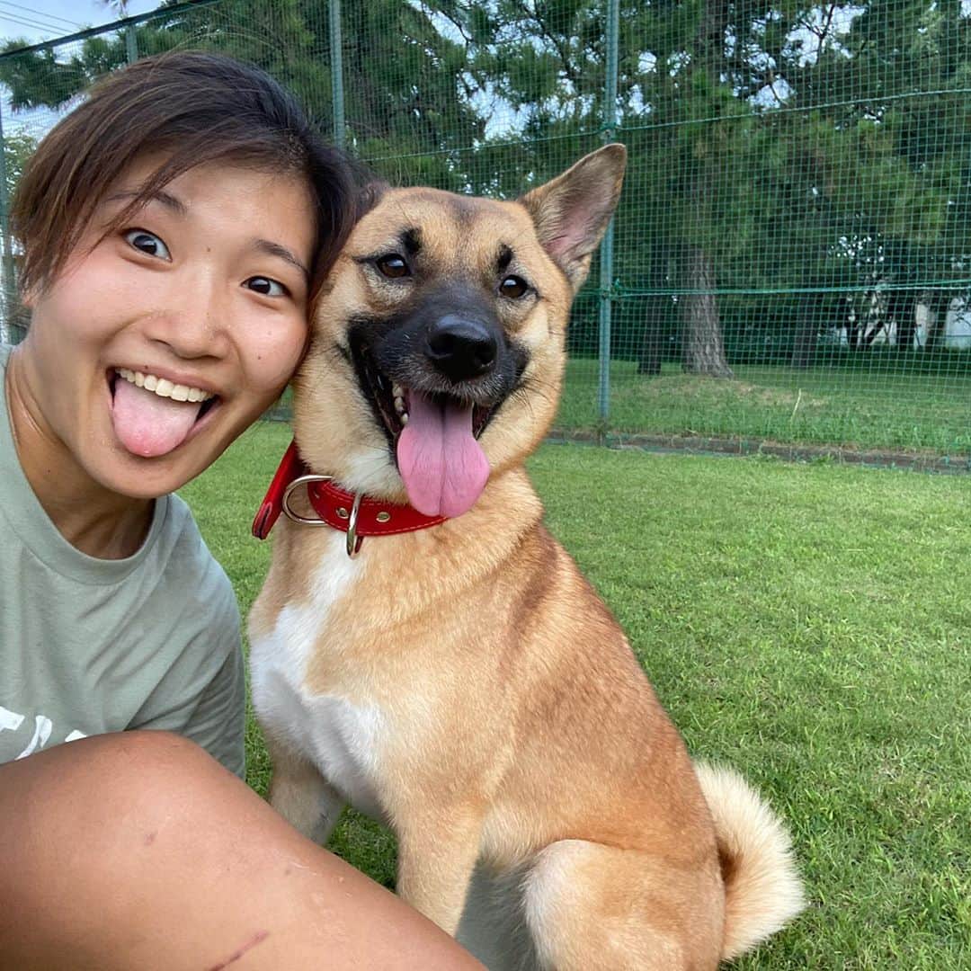 富田真紀子さんのインスタグラム写真 - (富田真紀子Instagram)「顔が似てても ななの特技には敵いません。🐕🐕💨💨  #中型犬 #恐るべし #ジャンプ力 #わんこのいる生活  #保護犬  #7」9月19日 20時05分 - makikotommy