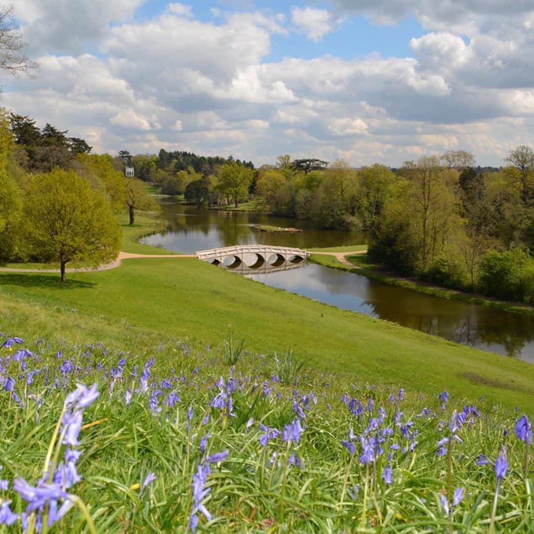 クリスティーズさんのインスタグラム写真 - (クリスティーズInstagram)「Designed in the eighteenth century by Charles Hamilton and internationally celebrated at the time, Painshill garden was designed as a walk through a work of art, taking the viewer past theatrically placed follies, which are concealed and then dramatically revealed and a series of stunning views.⠀ .⠀ The Ruined Abbey, reflected in the Serpentine Lake with a waterwheel that feeds it from the River Mole. The Grotto, a sparkling cave of crystals, amazes visitors with its coral pools. A replanted vineyard produces Painshill sparkling wine grown according to eighteenth century methods, while hidden in forest lies a secluded hermitage.⠀ .⠀ As part of the Historic Houses group, Painshill is in the shortlist for the Historic Houses Garden of the Year awards, sponsored by Christie's.⠀ .⠀ You can vote for your favourite of 2020 until 30 September. Link in bio to vote.⠀ .⠀ Painshill, Surrey⠀ .⠀ @historic_houses @painshill #historichouses #gardens #outdoors #landscapes #goty2020 #gardenoftheyear #horticulture #horticulturaldesign」9月19日 20時11分 - christiesinc