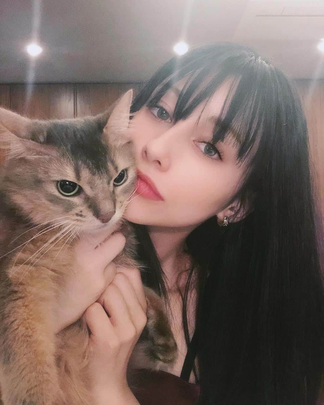 ダレノガレ明美さんのインスタグラム写真 - (ダレノガレ明美Instagram)「ジジ吉🐈旦那 最後噛まれた🙄  #cat  #verycute  #귀여운 #고양이」9月19日 20時14分 - darenogare.akemi