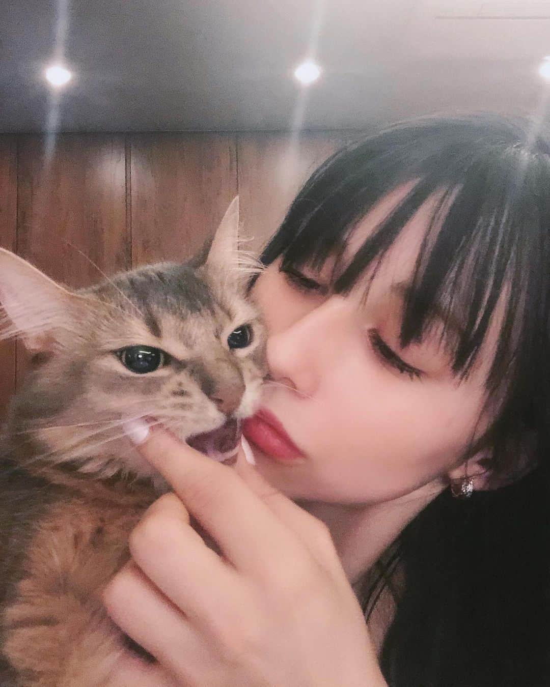 ダレノガレ明美さんのインスタグラム写真 - (ダレノガレ明美Instagram)「ジジ吉🐈旦那 最後噛まれた🙄  #cat  #verycute  #귀여운 #고양이」9月19日 20時14分 - darenogare.akemi