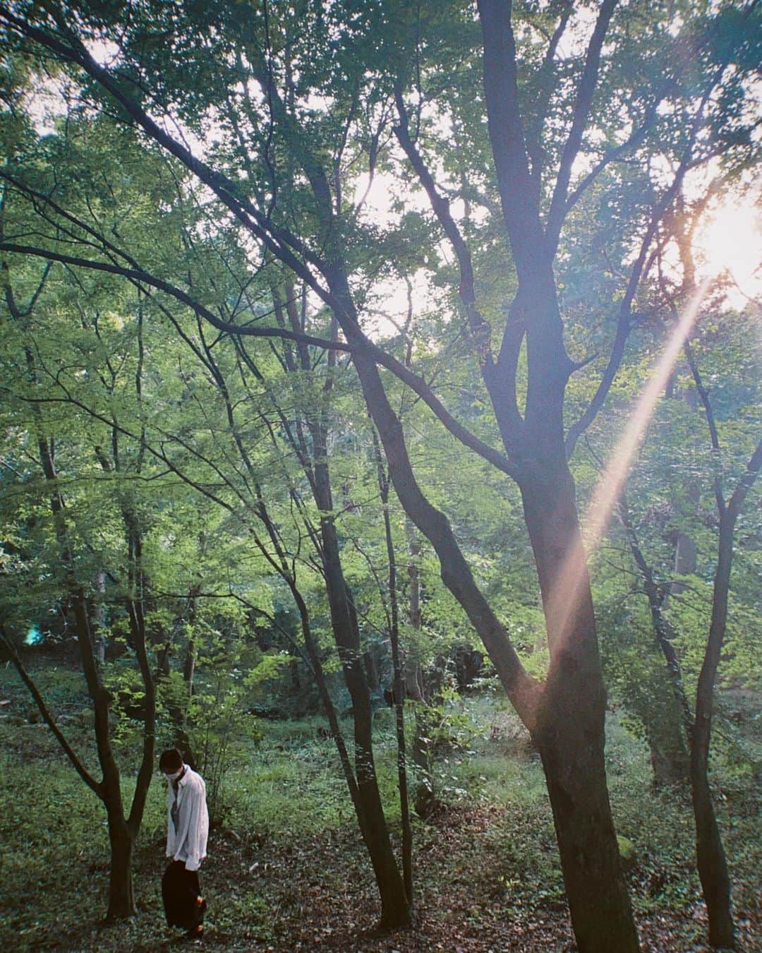 イェソンさんのインスタグラム写真 - (イェソンInstagram)「Time's stopped here 🌳」9月19日 20時27分 - yesung1106