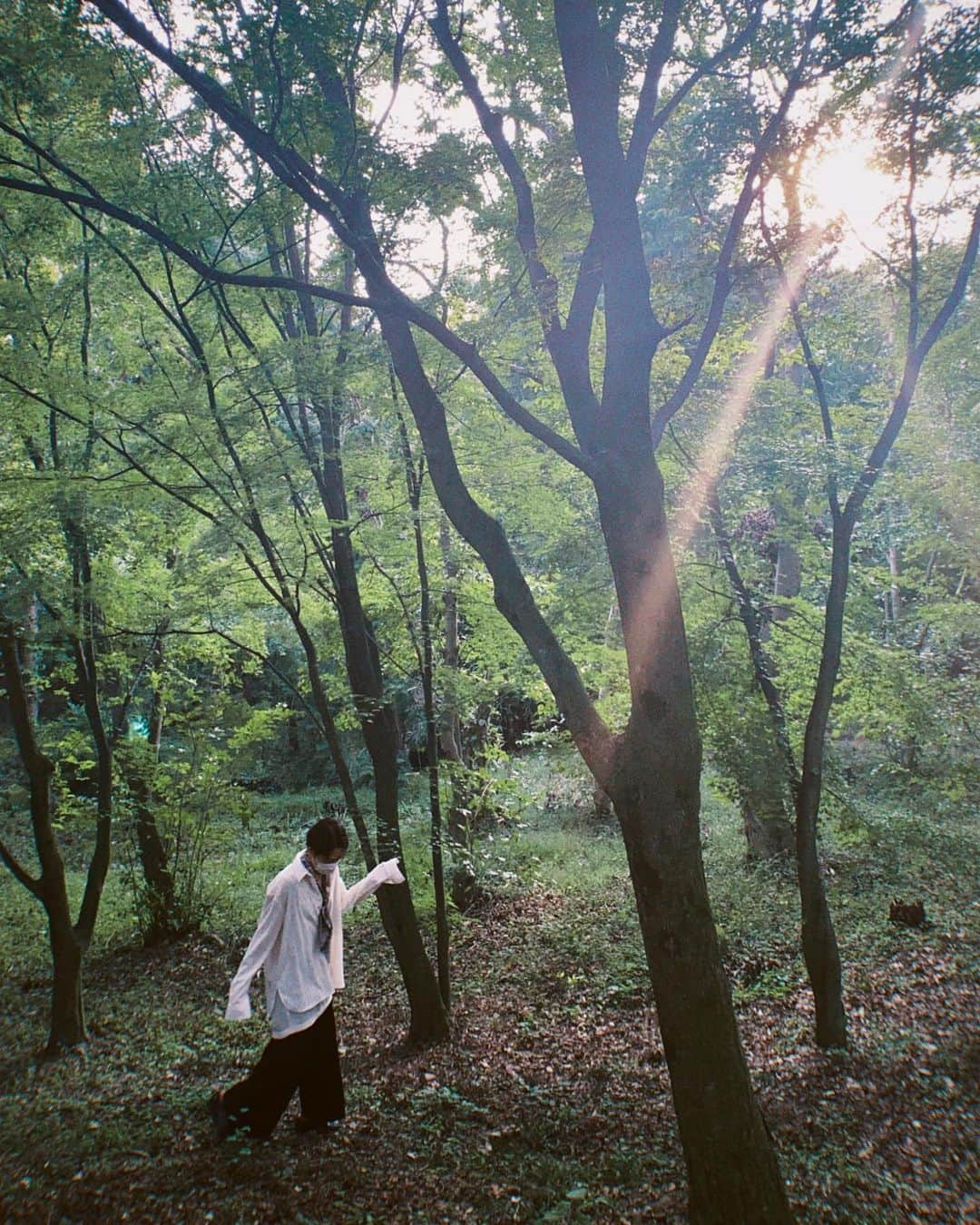 イェソンさんのインスタグラム写真 - (イェソンInstagram)「Time's stopped here 🌳」9月19日 20時27分 - yesung1106