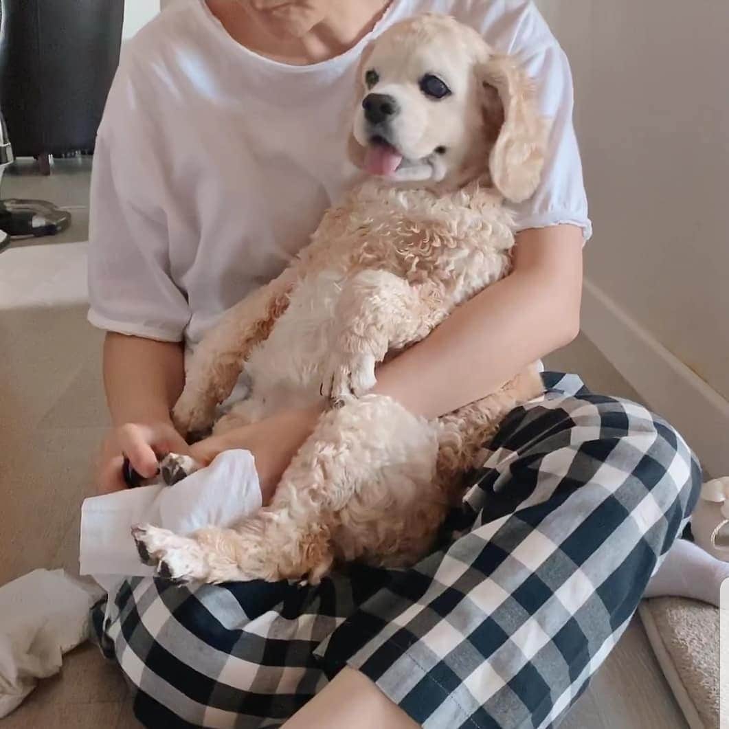 チ・スウォンのインスタグラム：「아가같은 초록이. 지혜로운 지혜가 찍어준...ㅎ 기분좋은 하루^^」