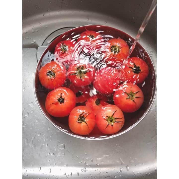 竹中友紀子のインスタグラム：「#発酵生活  昨日湯むきした大量のトマトたち。 うち3個でキーマカレーを作り、残りのトマト1キロ分でトマト塩麹を仕込みました。 たまねぎ塩麹がびっくりするほど美味しかったので、これをトマトで仕込んだらどうなるかずっと気になっていたんです。 1週間後が楽しみ^ ^」