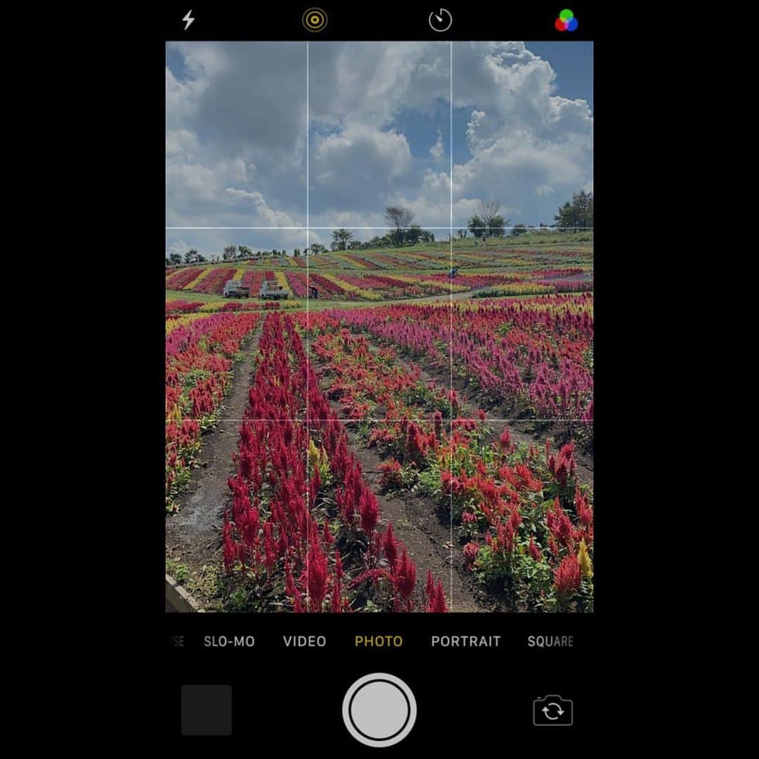 佐藤和奏のインスタグラム：「🥀💐」