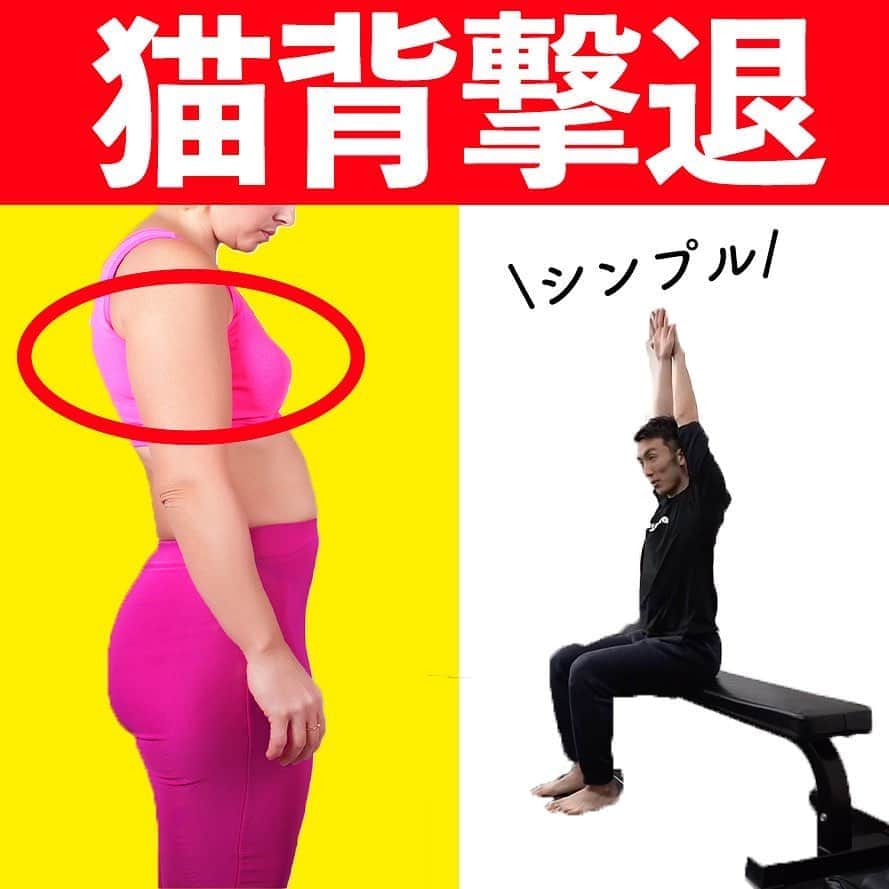 ととのえて、からだ。@渋谷発パーソナルトレーニングジムのインスタグラム：「みなさん、こんばんは✨こんさんです😌﻿ ﻿ 今日のテーマは「猫背撃退」です💪🔥２ステップで猫背改善のエクササイズを行なっていきましょう😌  姿勢改善で気になるTOP3に常に入る「猫背」。もちろん日常の意識を変えていく必要がありますが、そのきっかけにここで紹介するエクササイズを取り入れてみてください✨  最初のストレッチ、そして猫背防止のエクササイズ。もちろん猫背改善のエクササイズは無限にあるので、それぞれが「合うな〜」と思うものをやっていくようにしてみてくださいね✨  このようにYouTubeでもいろいろとエクササイズは紹介していますので、ぜひ気になる方はYouTubeにて  「ととのえてからだ」  を検索してみてくださいませ✨たくさんコンテンツあります🙌  ＜＜ととからのひみつきちについて＞＞ ﻿ ﻿ ひみつきちでは、一般アカウントには無い濃いコンテンツを配信しています😌 ﻿ ﻿ ・限定ライブ（質疑応答、お食事のこと、ブートキャンプ、種目の詳細解説まで） ﻿ ﻿ ・限定コミュニティ（不定期のLINEグループで3週間の習慣化チャレンジ） ﻿ ﻿ ・限定動画（ダイエット以外にも応用出来る継続化、習慣化スキルについての動画） ﻿ ﻿ ・週報メルマガ（１週間分のメニューが届きます！もう「何やれば良い？」なんていうのがなくなります）﻿ ﻿ と盛り盛りのコンテンツがワンコインで楽しめます。プロフィールのURLから詳細をご覧になれますので、ぜひご参加くださいませ✨」