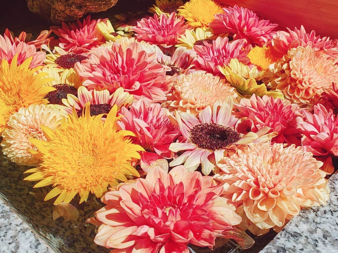 葉山いくみのインスタグラム：「載せそびれ。 福徳神社の花手水。  #福徳神社  #花手水」