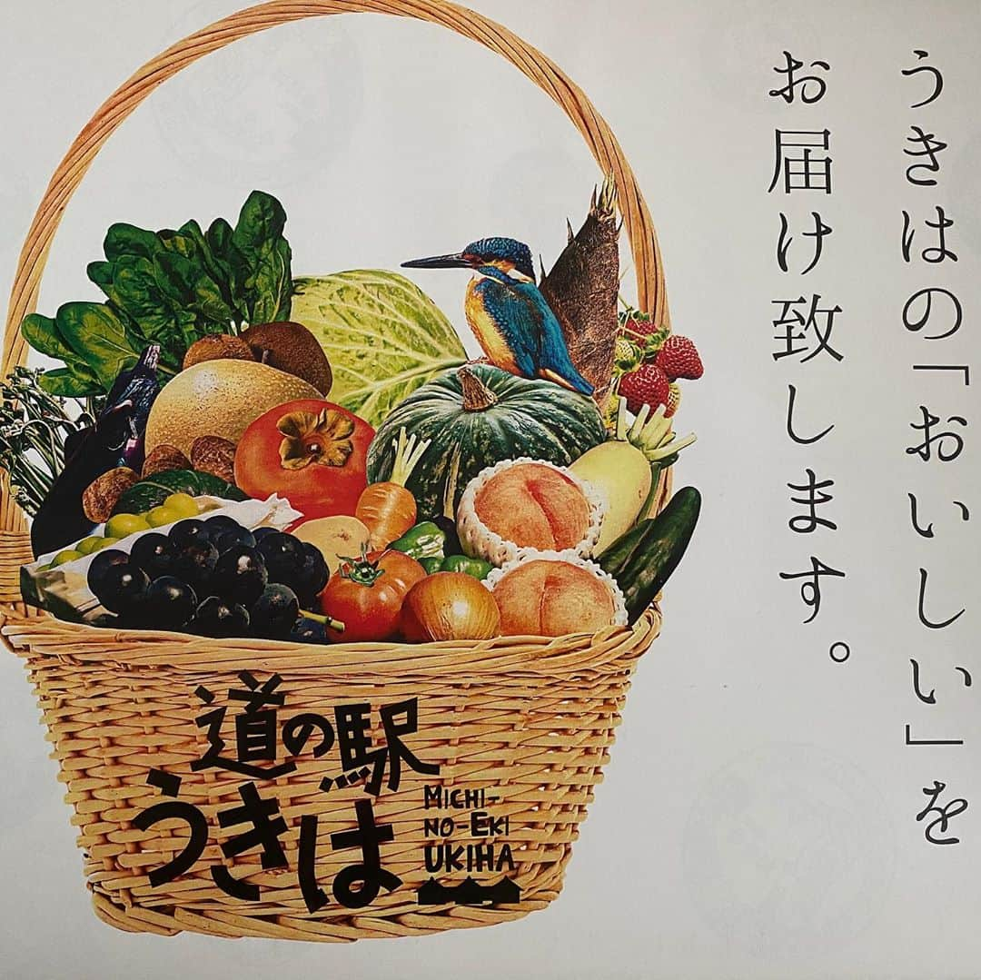 堀田祐美子さんのインスタグラム写真 - (堀田祐美子Instagram)「九州から野菜の贈り物🎁  野菜は決まった物しか買わないから嬉しい😊  ふくのやさんの明太コロッケ気になる🤔  生落花生茹でました。  大粒で美味しい✨  #堀田祐美子 #yumiko hotta #woman's  #prowrestling #女子プロレス #assemble #アッセンブル　#bulldog #ブルドッグ #ホワイトブルドッグのふぅら#whit bulldog #ブヒ　#鼻ぺちゃ　#可愛い　#toypoodle #トイプードル　#コナ　#ハーツ82 #武蔵小山　#道の駅うきは #九州野菜　#明太コロッケ　#生落花生」9月19日 21時18分 - yumiko_hotta