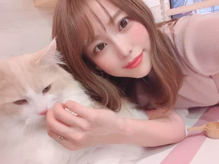 鈴木 あやのグルメインスタ