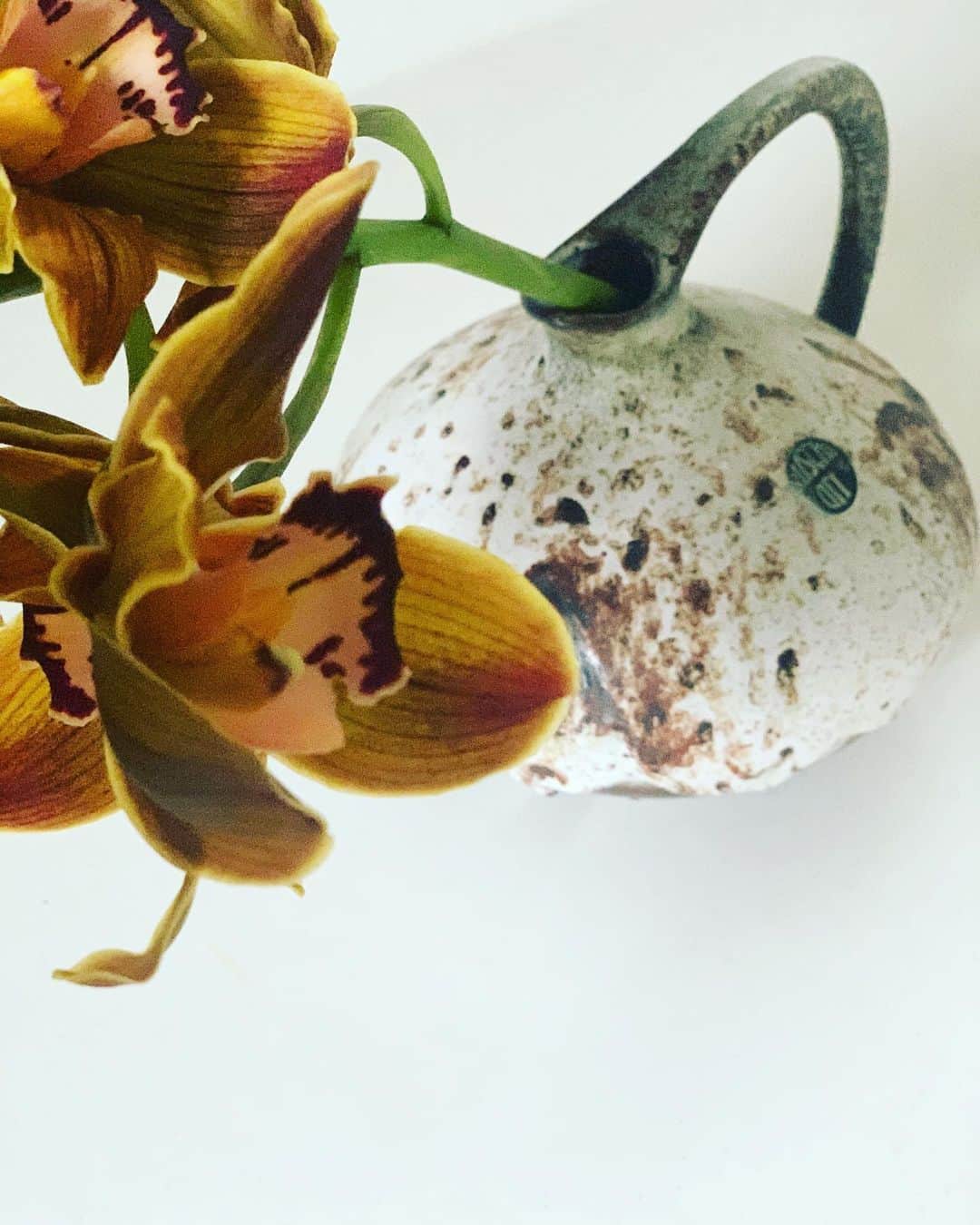 二ノ宮和佳子のインスタグラム：「New Vase!! @waiko1125 の @arne_lecht のPOP UPで購入させてもらったFat Lava  ベースとお花のコーディネートって楽しいですね  #flowervase」