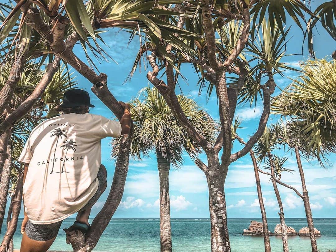 安藝正俊のインスタグラム：「: summer vibes🏝  okinawa life🤙 : #沖縄 #沖縄移住 #沖縄好きな人と繋がりたい  #休日の過ごし方 #自然 #海 #海のある生活  #海好きな人と繋がりたい  #綺麗な景色  #日本の風景  #日々の暮らし  #ライフスタイル  #アウトドア #アウトドアコーデ #フォトジェニック  #キャンプ #インスタ映え #ソトアソビ #ダレカニミセタイケシキ  #okinawa #okinawajapan  #lifestyle #outdoorlife #sealife #oceanlife #fashiongram  #travelgram  #summervibes #goodvibes #yolo」