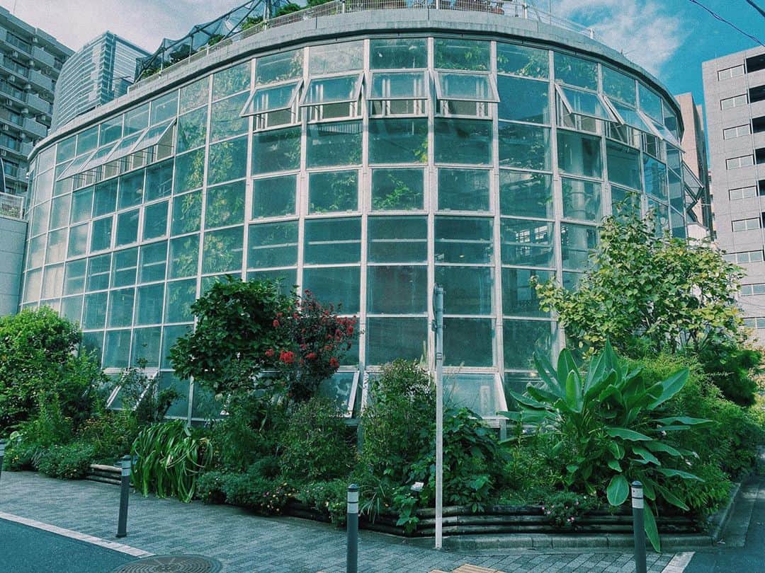 百瀬怜さんのインスタグラム写真 - (百瀬怜Instagram)「② #渋谷区ふれあい植物センター  #植物園」9月19日 21時51分 - momoserei_1113