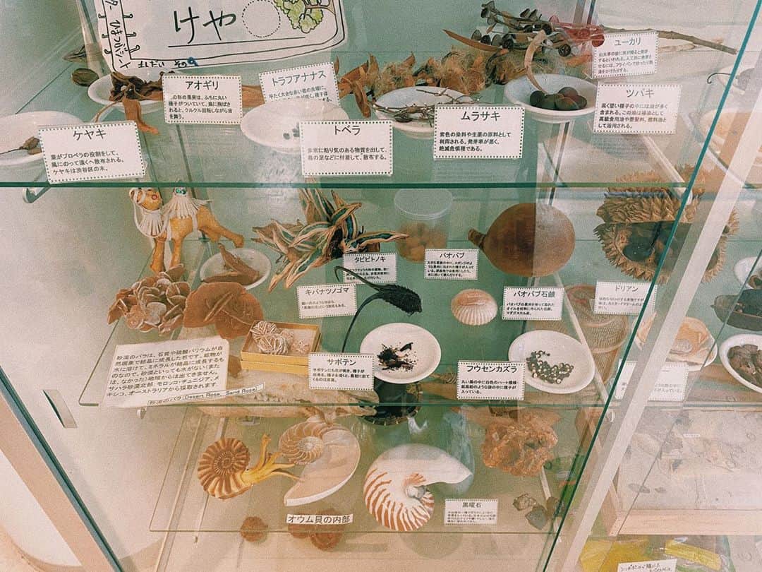 百瀬怜さんのインスタグラム写真 - (百瀬怜Instagram)「② #渋谷区ふれあい植物センター  #植物園」9月19日 21時51分 - momoserei_1113